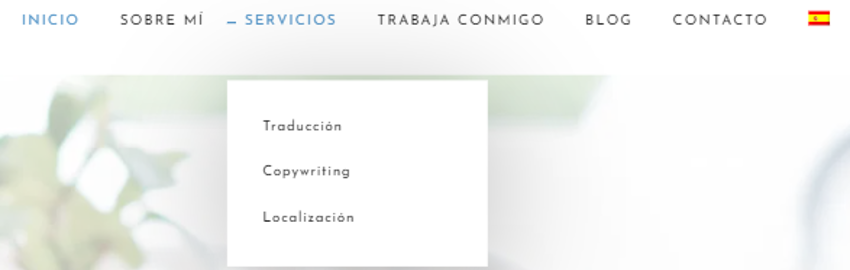 traducción de marketing